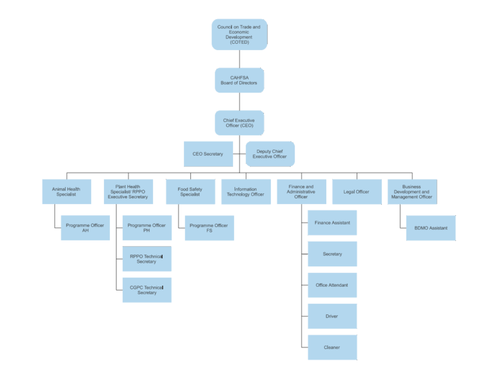 CAHFSA-Organizational-Chart-scaled